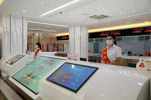 以科技中介服务为引擎，助推呼和浩特强首府工程建设