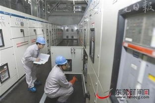 探访东莞时力科技电子厂 现代办公环境与科技中介服务的融合