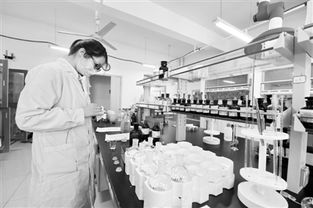 北湖科技园 长春的“中关村”与科技中介服务新引擎